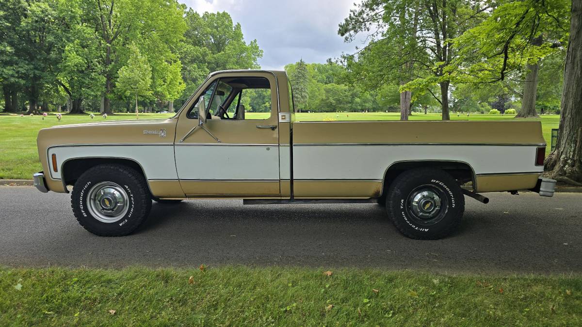 Chevrolet-c20-1975-brown-2