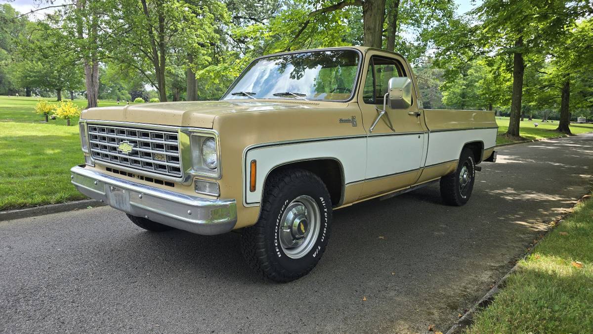 Chevrolet-c20-1975-brown