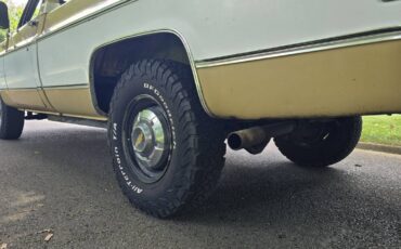 Chevrolet-c20-1975-brown-3