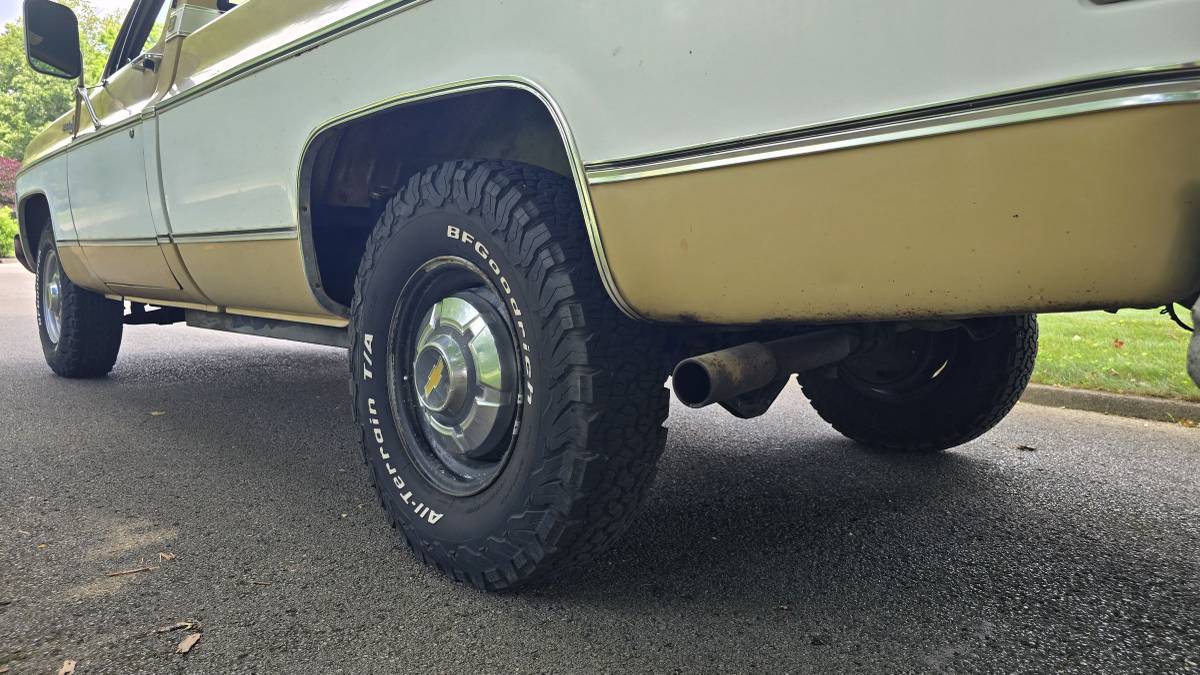 Chevrolet-c20-1975-brown-3