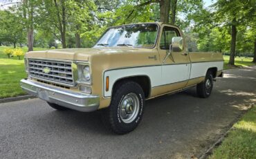 Chevrolet-c20-1975-brown