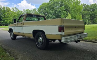Chevrolet-c20-1975-brown-4