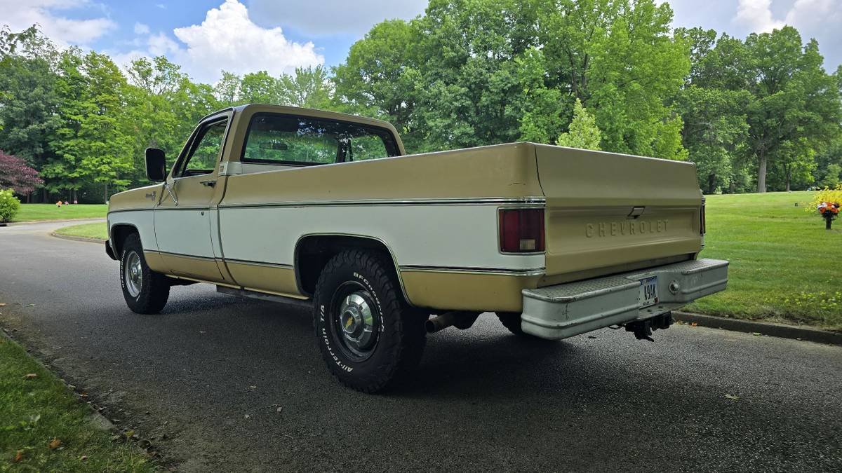 Chevrolet-c20-1975-brown-4