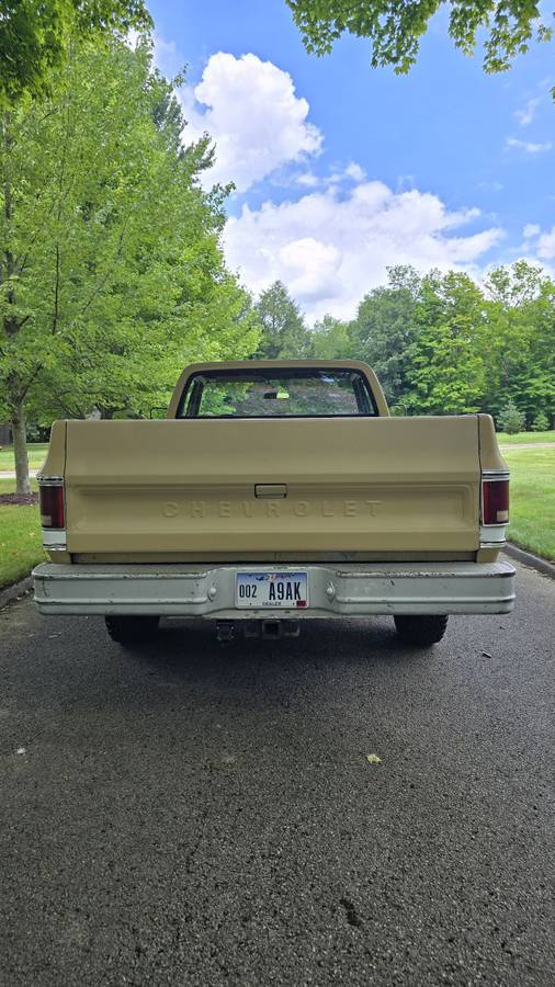 Chevrolet-c20-1975-brown-5