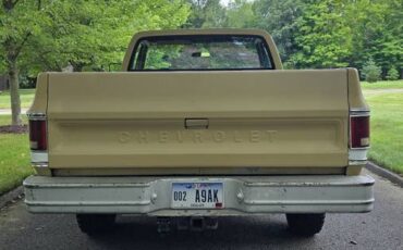 Chevrolet-c20-1975-brown-5