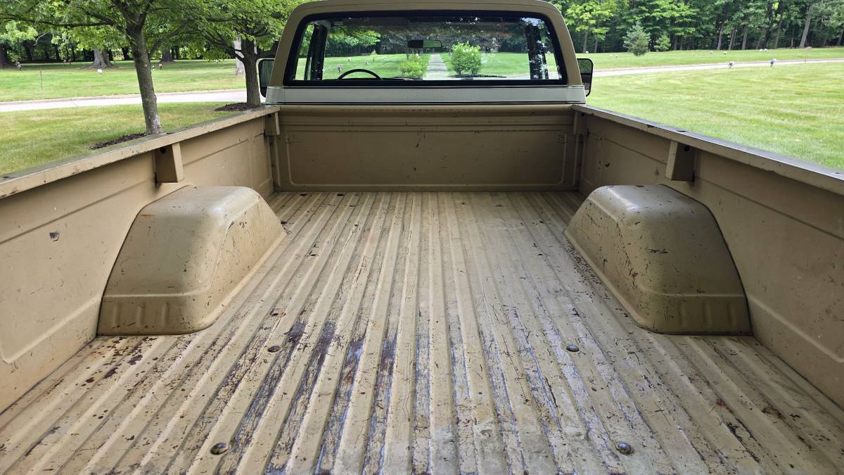 Chevrolet-c20-1975-brown-6