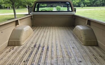 Chevrolet-c20-1975-brown-6