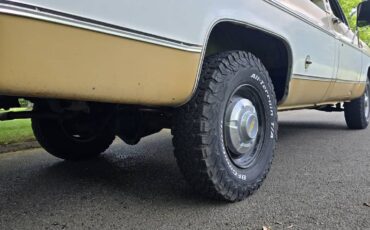 Chevrolet-c20-1975-brown-7