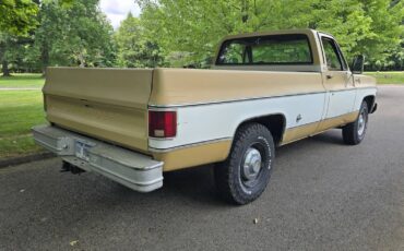 Chevrolet-c20-1975-brown-8