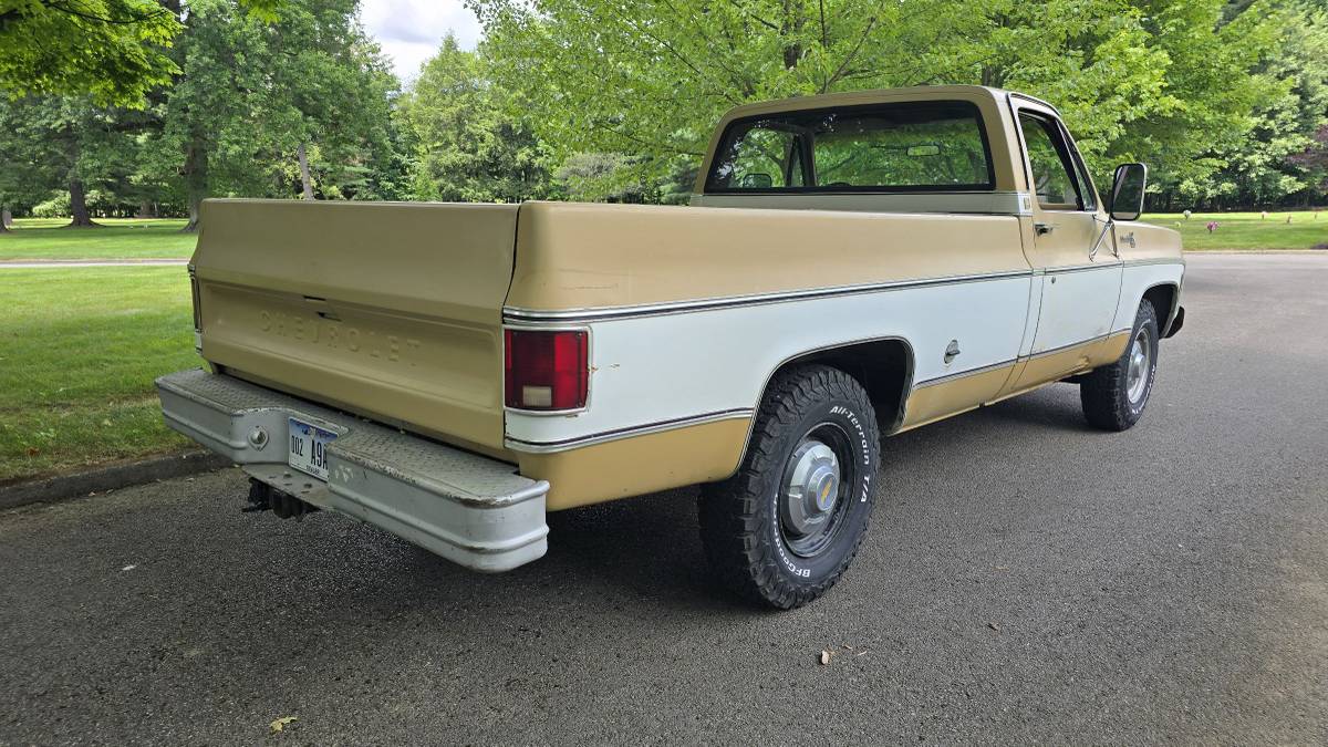 Chevrolet-c20-1975-brown-8