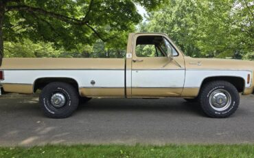 Chevrolet-c20-1975-brown-9