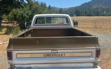 Chevrolet-c20-1976-1