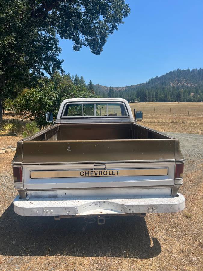 Chevrolet-c20-1976-1