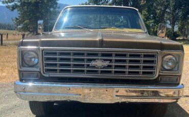 Chevrolet-c20-1976-2