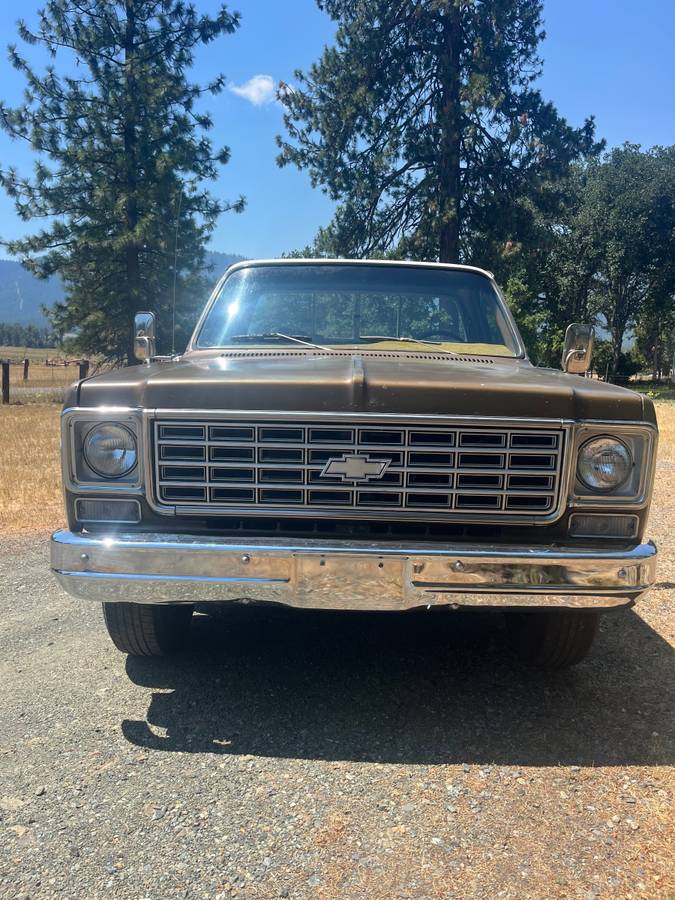 Chevrolet-c20-1976-2