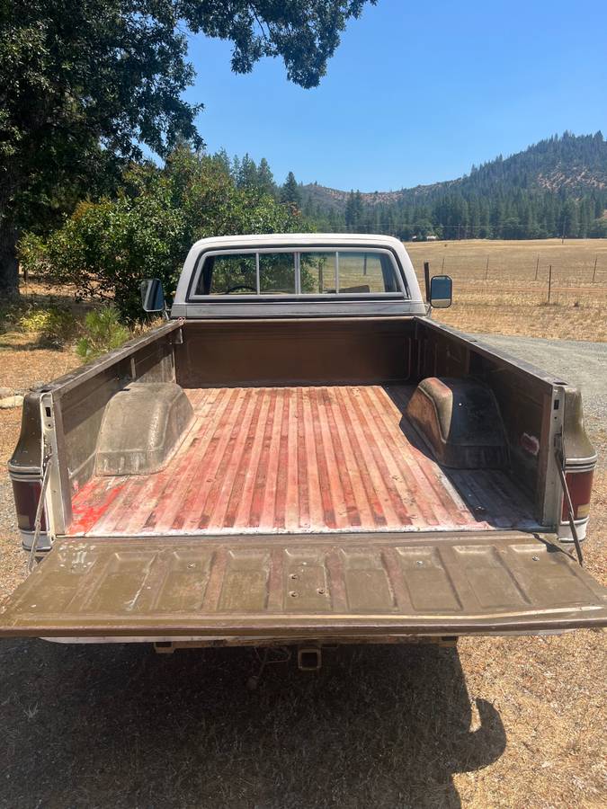 Chevrolet-c20-1976-3