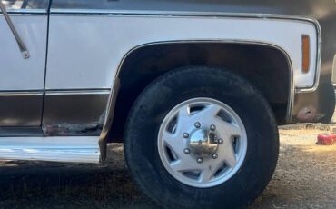 Chevrolet-c20-1976-5