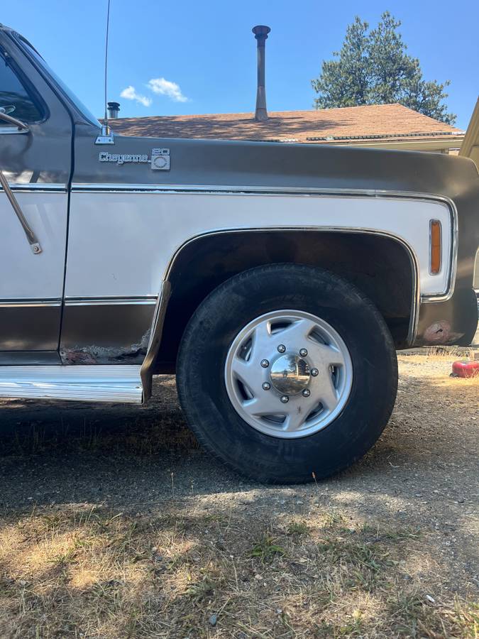 Chevrolet-c20-1976-5