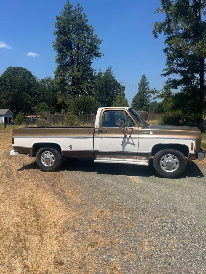 Chevrolet-c20-1976-8