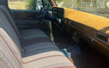 Chevrolet-c20-1976-9