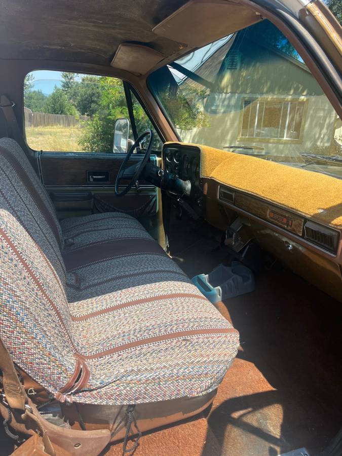Chevrolet-c20-1976-9