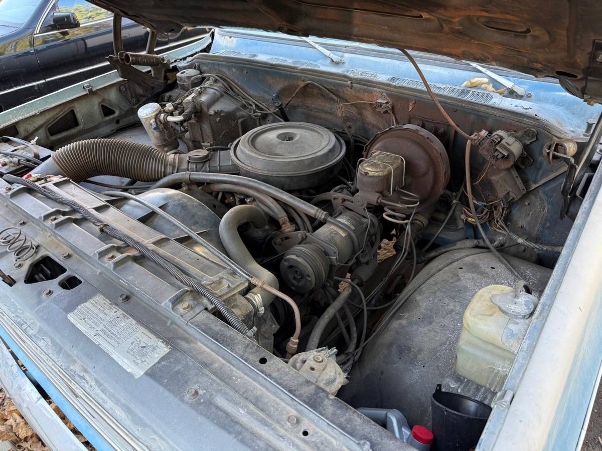 Chevrolet-c20-bonanza-1979-blue-3