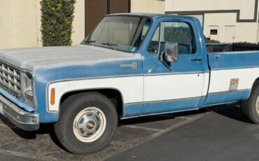 Chevrolet-c20-bonanza-1979-blue