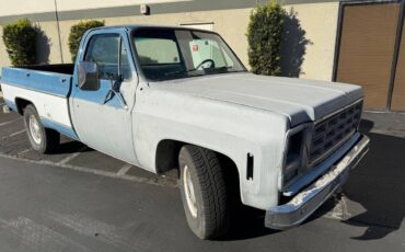 Chevrolet-c20-bonanza-1979-blue-8