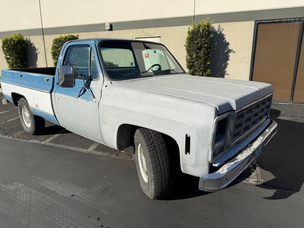Chevrolet-c20-bonanza-1979-blue-8