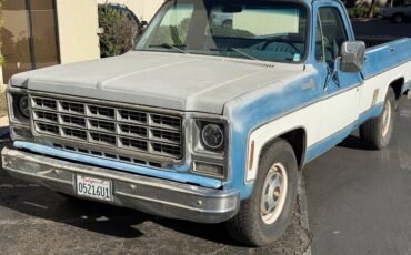 Chevrolet-c20-bonanza-1979-blue-9