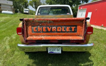 Chevrolet-c30-1982-2