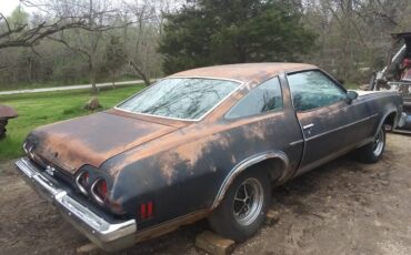Chevrolet-chevelle-ss-1973-blue-16