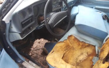 Chevrolet-chevelle-ss-1973-blue-2