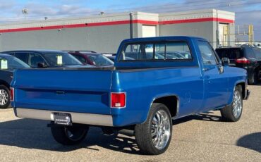 Chevrolet-ck-10-pickup-1978-blue-10