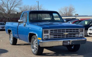 Chevrolet-ck-10-pickup-1978-blue-4
