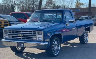 Chevrolet-ck-10-pickup-1978-blue-6