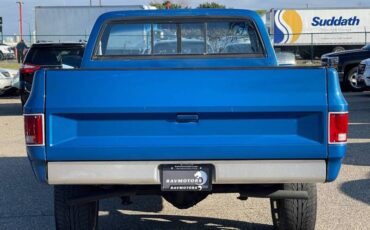 Chevrolet-ck-10-pickup-1978-blue-9