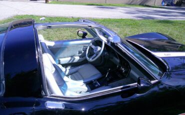 Chevrolet-corvette-1978-black-12
