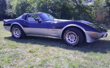 Chevrolet-corvette-1978-black-14