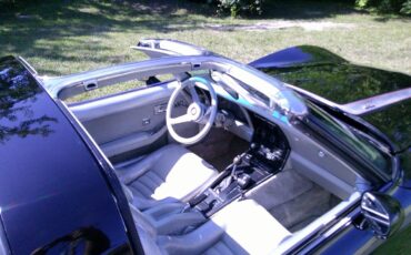 Chevrolet-corvette-1978-black-15