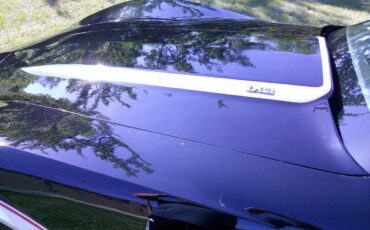 Chevrolet-corvette-1978-black-3