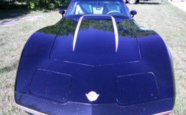 Chevrolet-corvette-1978-black-4