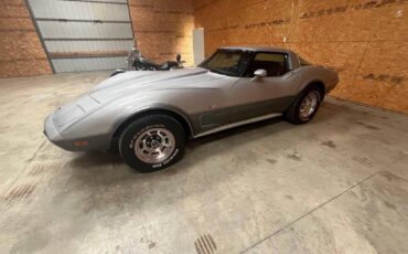 Chevrolet-corvette-1978-silver-4