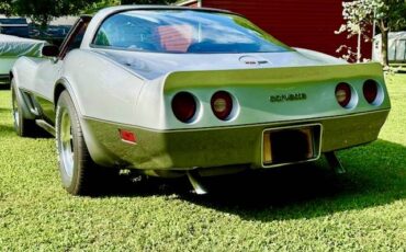 Chevrolet-corvette-1980-silver-3
