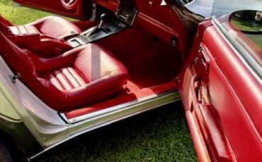 Chevrolet-corvette-1980-silver-6