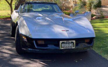 Chevrolet-corvette-1981-silver-1