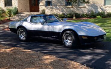 Chevrolet-corvette-1981-silver