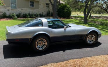 Chevrolet-corvette-1981-silver-4
