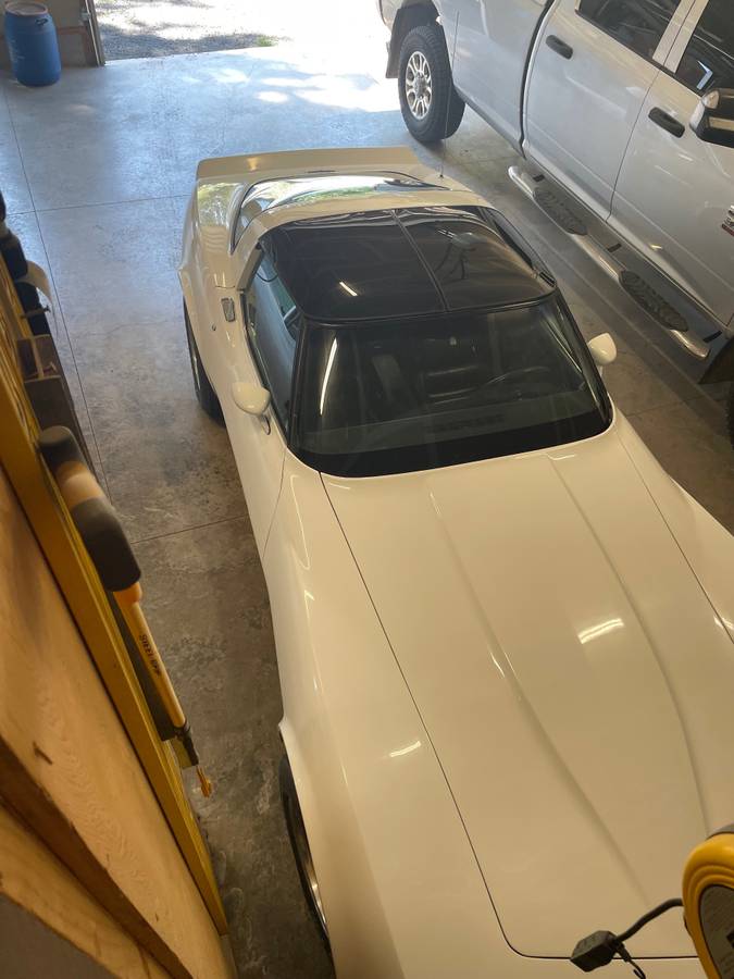 Chevrolet-corvette-1981-white-2