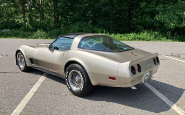 Chevrolet-corvette-1982-grey-2